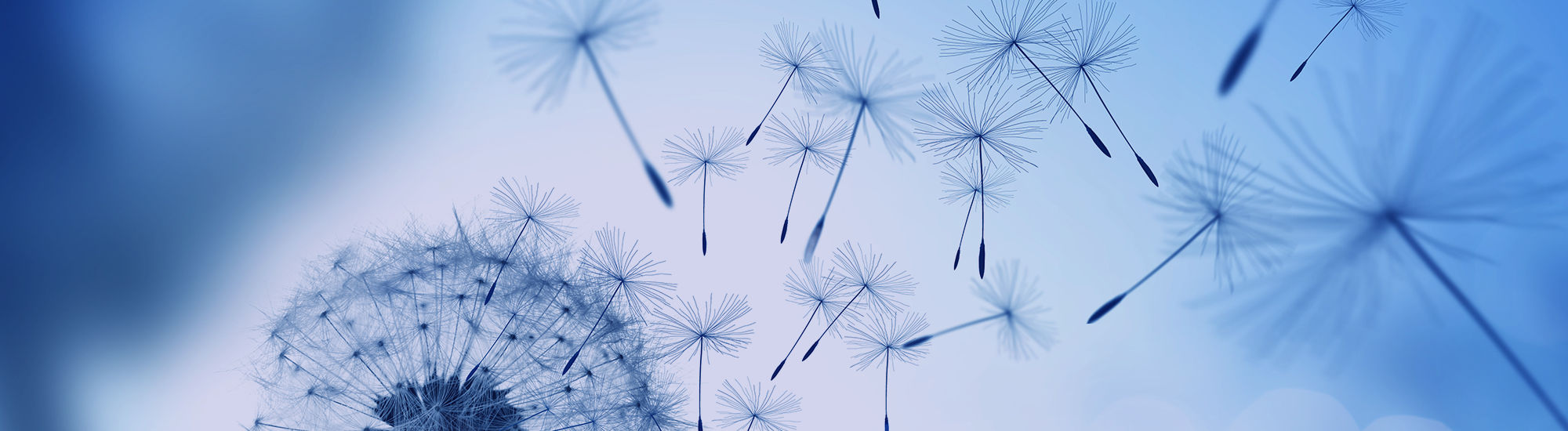 Perpetual Australian Shares