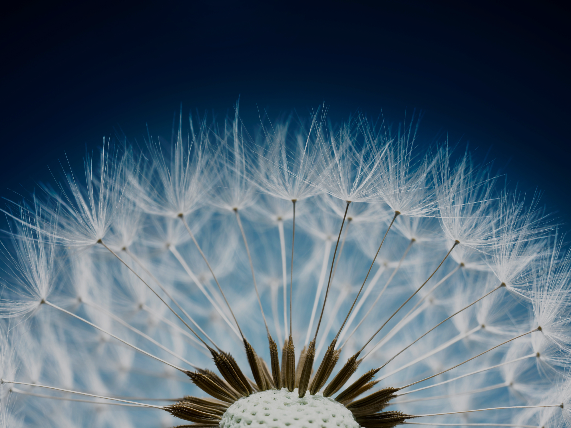 About Perpetual Group