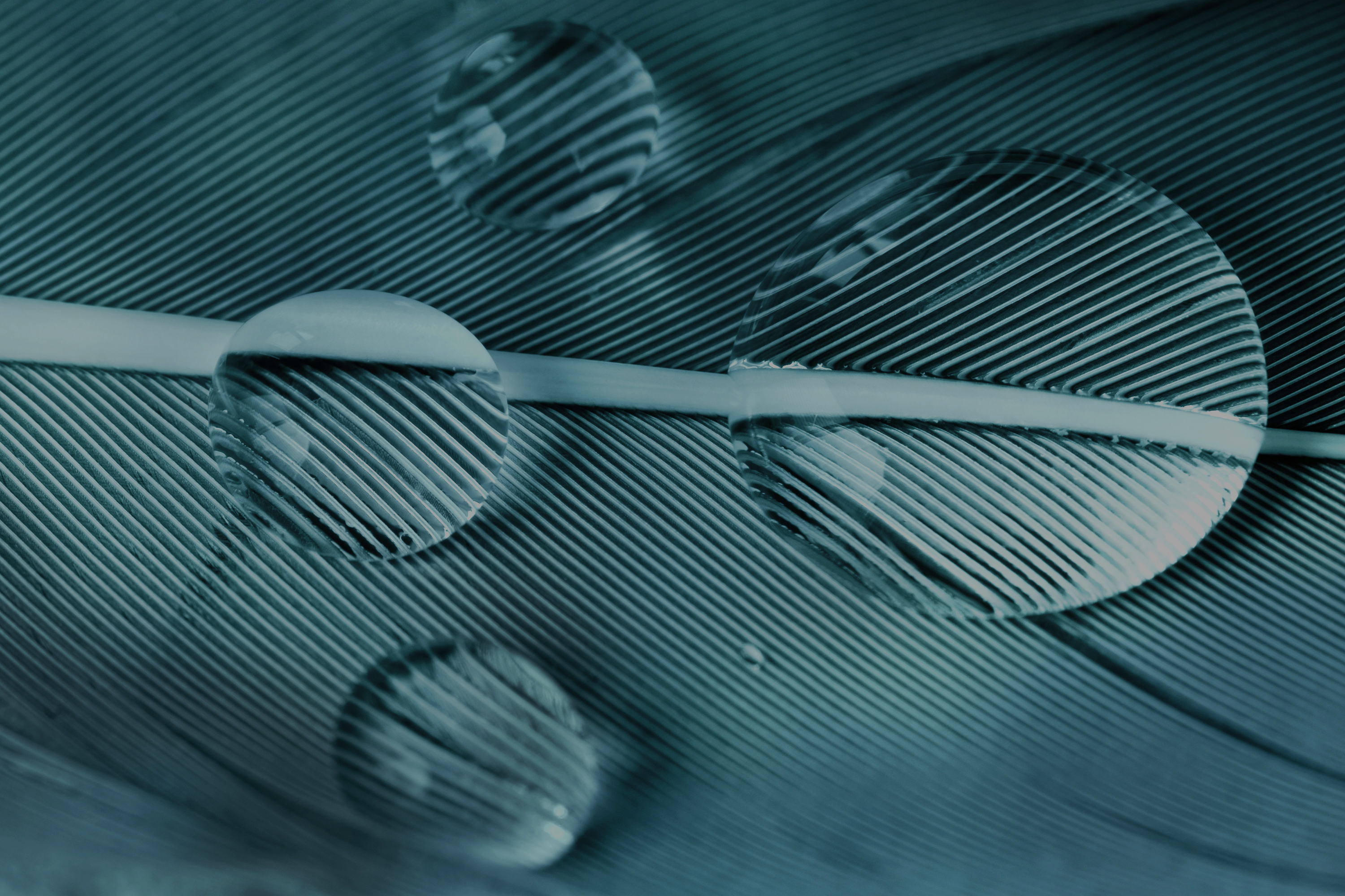 Navigating Division 296